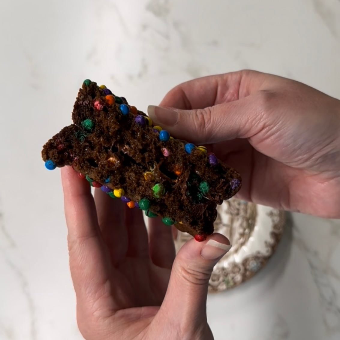 Dino-mite Cosmic Cookie (6)