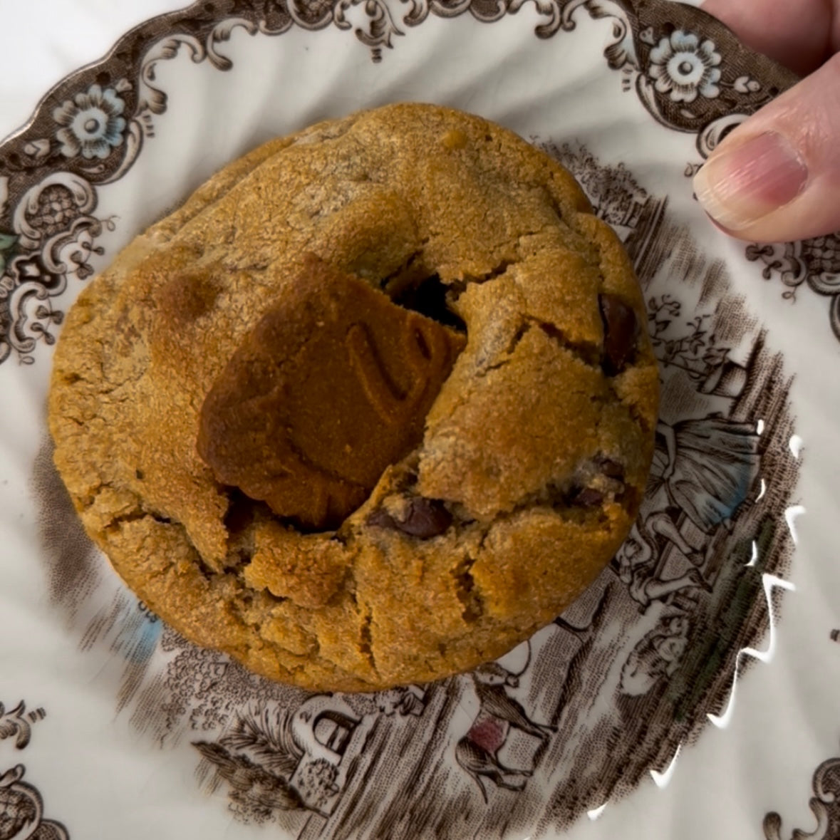 Biscoffasaurus Rex (6)