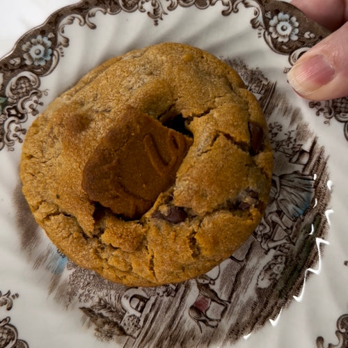 Biscoffasaurus Rex (6)
