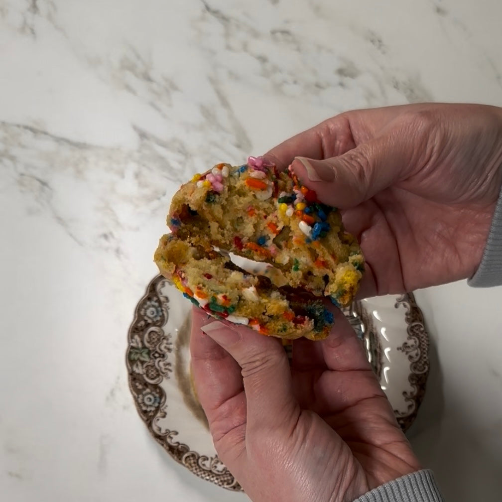 Jurassic Golden Funfetti (6)
